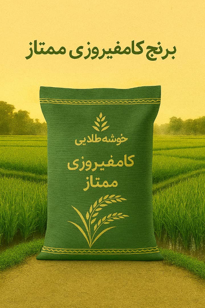 برنج کامفیروزی ممتاز با ضمانت مرجویی 1405