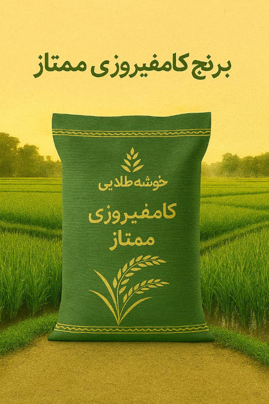 برنج کامفیروزی ممتاز با ضمانت مرجویی